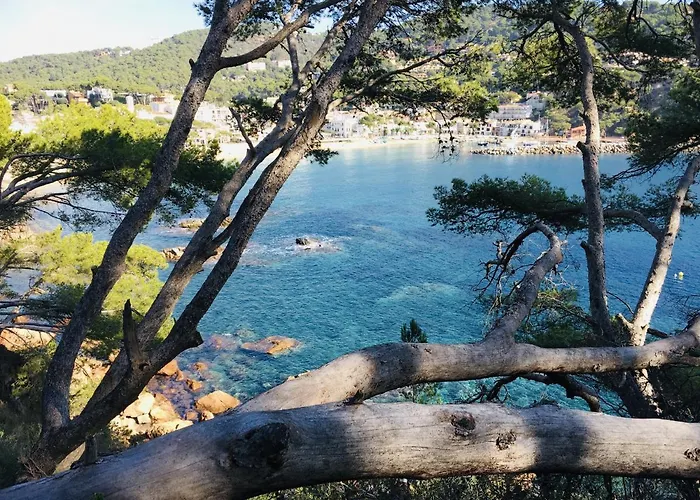 Anc 14 B-1 - * リャフラン